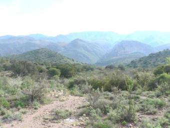 Breathtaking Bushveldt in Karoo Montagu